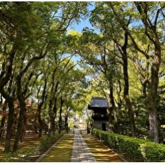 メンズエステ求人店舗：博多メンズエステ 艶女｜博多・中洲・天神・福岡県のメンズエステ求人の店長写メ日記画像　気持ちの良いお天気ですね(^^)/