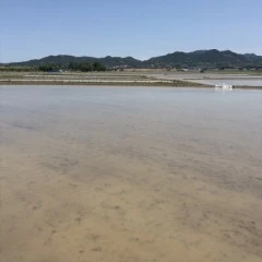 メンズエステ求人店舗：Aroma Belle｜博多・中洲・天神・福岡県のメンズエステ求人の店長写メ日記画像　昨日は。。