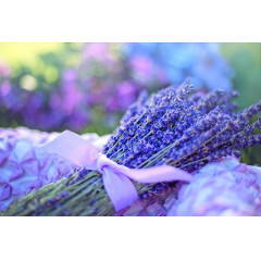 メンズエステ求人店舗：オニ感度｜葛西・西葛西・一之江・東京都のメンズエステ求人の店長写メ日記画像　「ただ働く場所」じゃない。葛西で“自分も癒される”特別なワーク