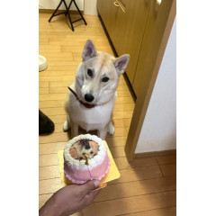 メンズエステ求人店舗：三ノ宮メンズエステL＆A｜神戸・三宮・元町・兵庫県のメンズエステ求人の店長写メ日記画像　おはようございます