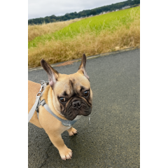 メンズエステ求人店舗：Aroma Belle｜博多・中洲・天神・福岡県のメンズエステ求人の店長写メ日記画像　今日の。。