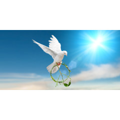 メンズエステ求人店舗：Kiravibia｜岐阜・各務原・山県・岐阜県のメンズエステ求人の店長写メ日記画像　ありふれた日常