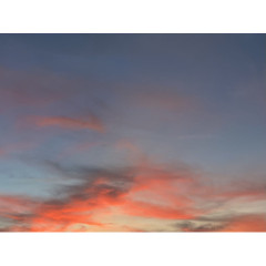 メンズエステ求人店舗：Carina 栄｜栄・愛知県のメンズエステ求人の店長写メ日記画像　リピーター様が多いお店って、実は働きやすいんです( ˶ˆ꒳ˆ˵ )