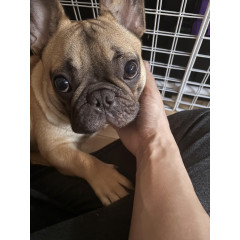 メンズエステ求人店舗：Aroma Belle｜博多・中洲・天神・福岡県のメンズエステ求人の店長写メ日記画像　募集中です！