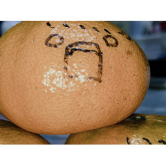 メンズエステ求人店舗：Carina｜新栄町・東新町・愛知県のメンズエステ求人の店長写メ日記画像　予定に合わせてゆるっと出勤してください( •̀ ω •́ )✧