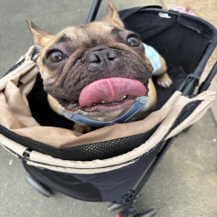 メンズエステ求人店舗：Aroma Belle｜博多・中洲・天神・福岡県のメンズエステ求人の店長写メ日記画像　お出かけ！