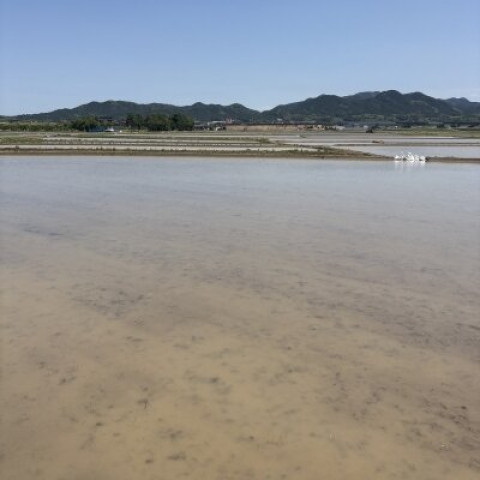 メンズエステ求人店舗：Aroma Belle｜博多・中洲・天神・福岡県のメンズエステ求人の店長写メ日記　昨日は。。画像1