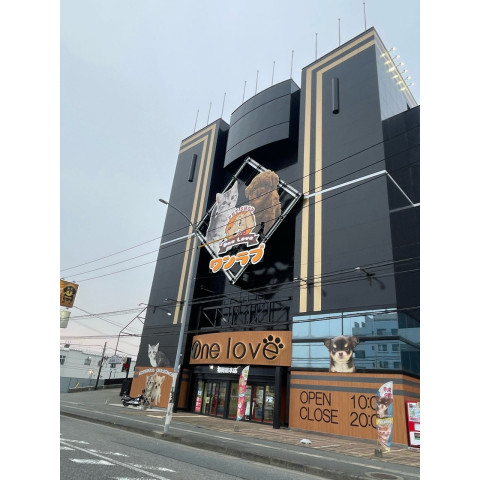 メンズエステ求人店舗：Aroma Belle｜博多・中洲・天神・福岡県のメンズエステ求人の店長写メ日記　かつての、、、画像1