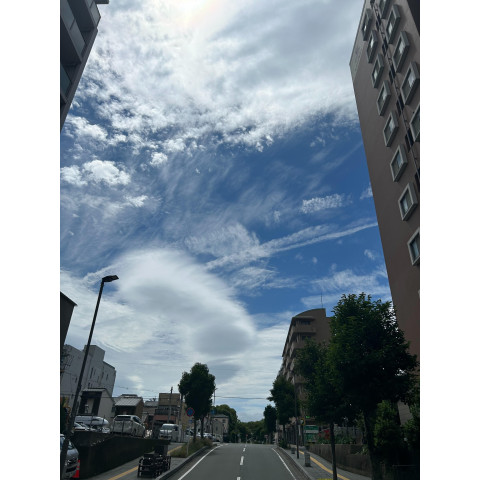 メンズエステ求人店舗：博多メンズエステ 艶女｜博多・中洲・天神・福岡県のメンズエステ求人の店長写メ日記　梅雨晴れ画像1