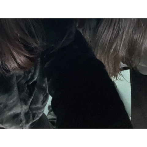 メンズエステ求人店舗:Carina|新栄町・東新町・愛知県のメンズエステ求人の店長写メ日記 おともだちと一緒でも大歓迎ですっ(●ˇ∀ˇ●)画像1