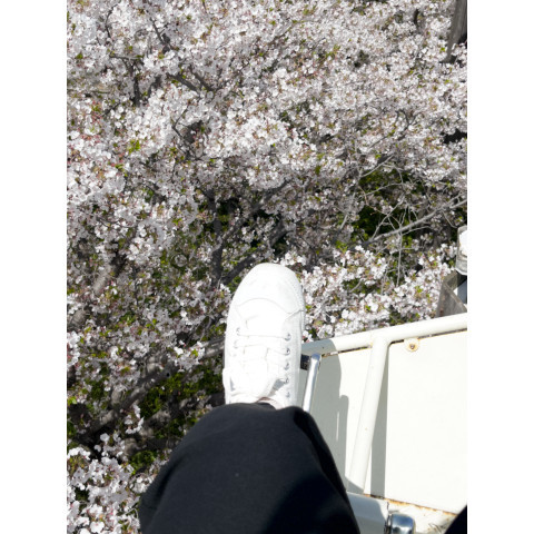 メンズエステ求人店舗：Carina 栄｜栄・愛知県のメンズエステ求人の店長写メ日記　少ない接客でもしっかり稼げるお仕事です(^・ω・^ )画像1