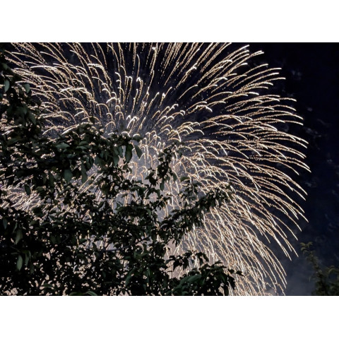 メンズエステ求人店舗：Carina｜新栄町・東新町・愛知県のメンズエステ求人の店長写メ日記　体力に自信がなくても続けやすい理由( ´꒳`画像1