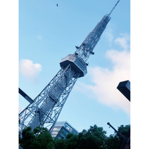 メンズエステ求人店舗：ミセス名古屋｜丸の内・久屋・愛知県のメンズエステ求人の店長写メ日記　名古屋のシンボル。画像1