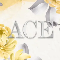 オススメメンズエステ求人店舗：武蔵小杉メンズエステACE｜川崎・武蔵小杉・溝の口・神奈川県のメンズエステ求人の画像