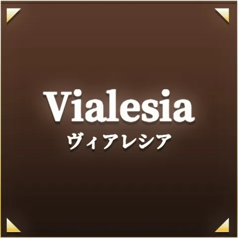 Vialesia｜千種・今池・池下・愛知県のメンズエステ求人の求人店舗画像