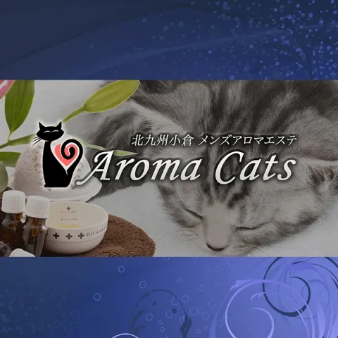 Aroma Cats｜北九州・小倉・黒崎・福岡県のメンズエステ求人の求人店舗画像