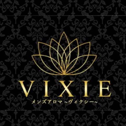 VIXIE｜博多・中洲・天神・福岡県のメンズエステ求人の求人店舗画像