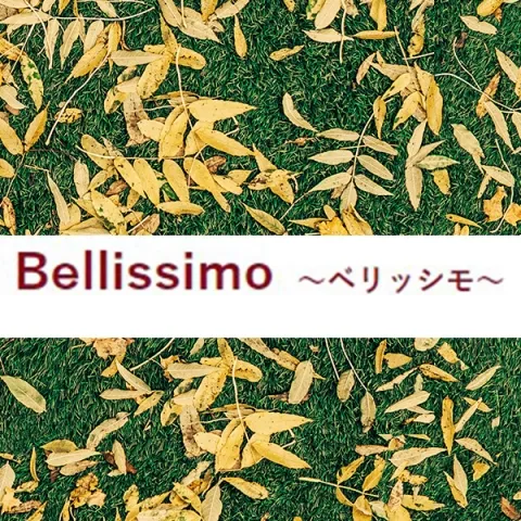 Bellissimo｜大宮・浦和・埼玉県のメンズエステ求人の求人店舗画像