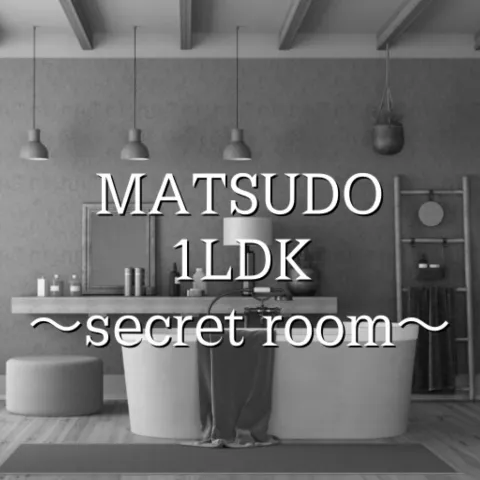 1LDK secret room matsudo｜松戸・柏・流山・千葉県のメンズエステ求人の求人店舗画像