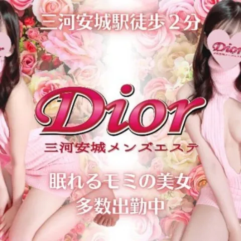 Dior｜豊橋・岡崎・安城・豊田・愛知県のメンズエステ求人の求人店舗画像