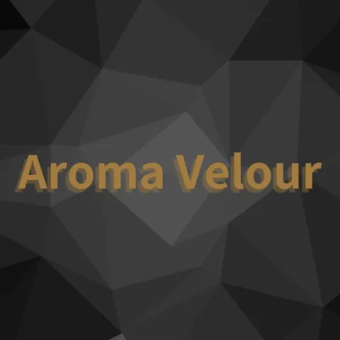 AROMA VELOUR｜錦糸町・小岩・両国・東京都のメンズエステ求人の求人店舗画像