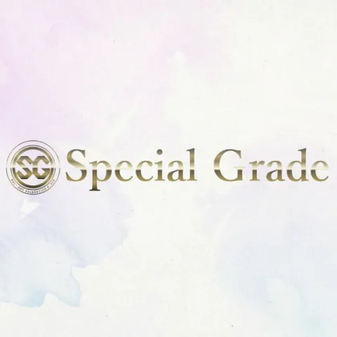 Special Grade(川口ルーム)｜川口・蕨・戸田・埼玉県のメンズエステ求人の求人店舗画像