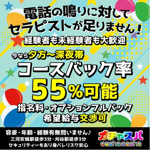 ガチャスパ｜豊橋・岡崎・安城・豊田・愛知県のメンズエステ求人の求人店舗画像