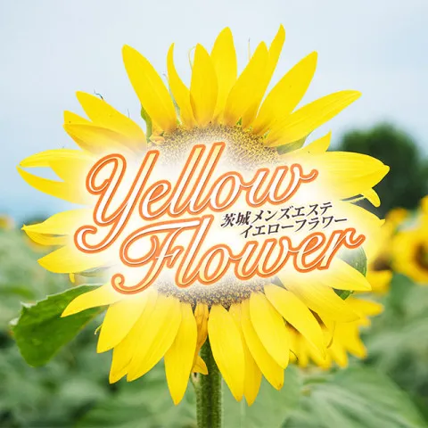 yellow flower｜古河・結城・坂東・茨城県のメンズエステ求人の求人店舗画像