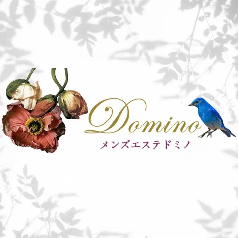 Domino｜三軒茶屋・自由が丘・二子玉川・東京都のメンズエステ求人の求人店舗画像
