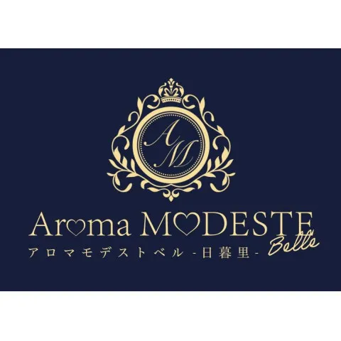 Aroma MODESTE Belle 日暮里店｜日暮里・西日暮里・鶯谷・東京都のメンズエステ求人の求人店舗画像