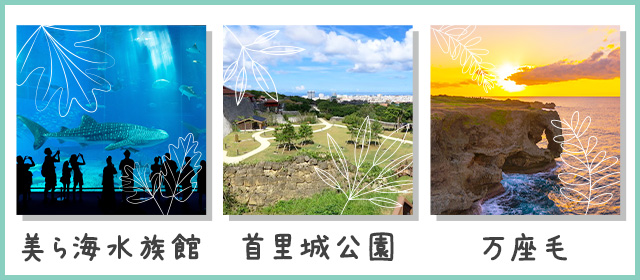 沖縄エリアの観光スポット情報