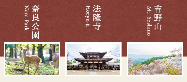 奈良エリアの観光スポット情報